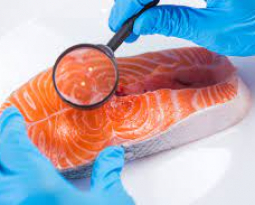 Singapore is Set On Normalising Cell-Based Protein Options