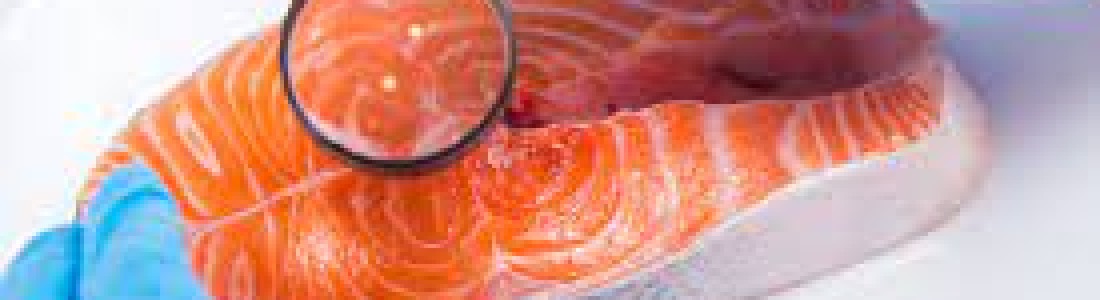 Singapore is Set On Normalising Cell-Based Protein Options