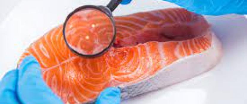 Singapore is Set On Normalising Cell-Based Protein Options