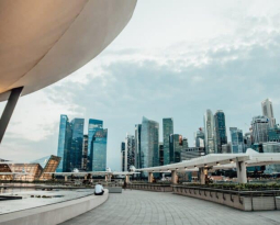 Deloitte Singapore: Boost Business Resilience through Streamlined Tax Policies