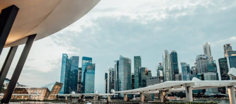 Deloitte Singapore: Boost Business Resilience through Streamlined Tax Policies